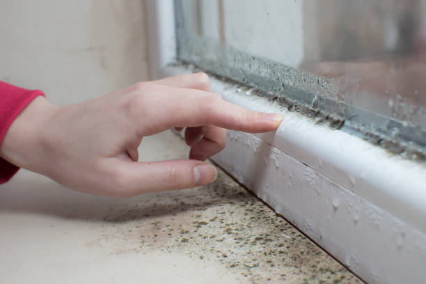 Best Airborne Mold Testing  in Masontown, PA