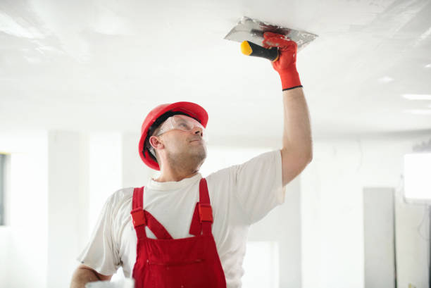 Best Real Estate Mold Inspection  in Masontown, PA