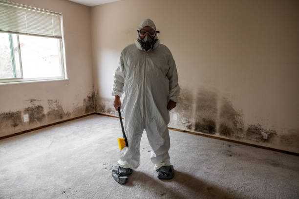 Asbestos and Lead Testing During Mold Inspection in Masontown, PA